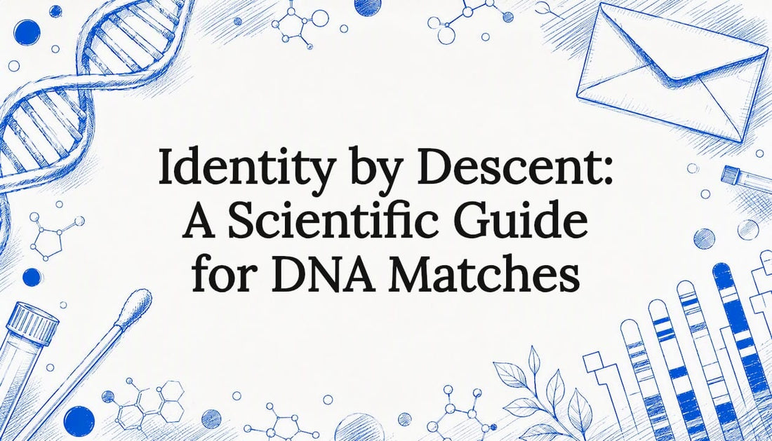 Identity by Descent: A Scientific Guide for DNA Matches