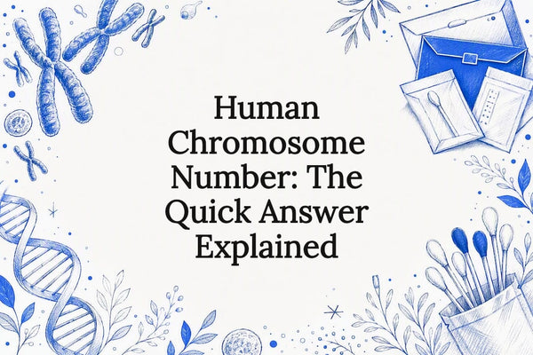 Human Chromosome Number: The Quick Answer Explained