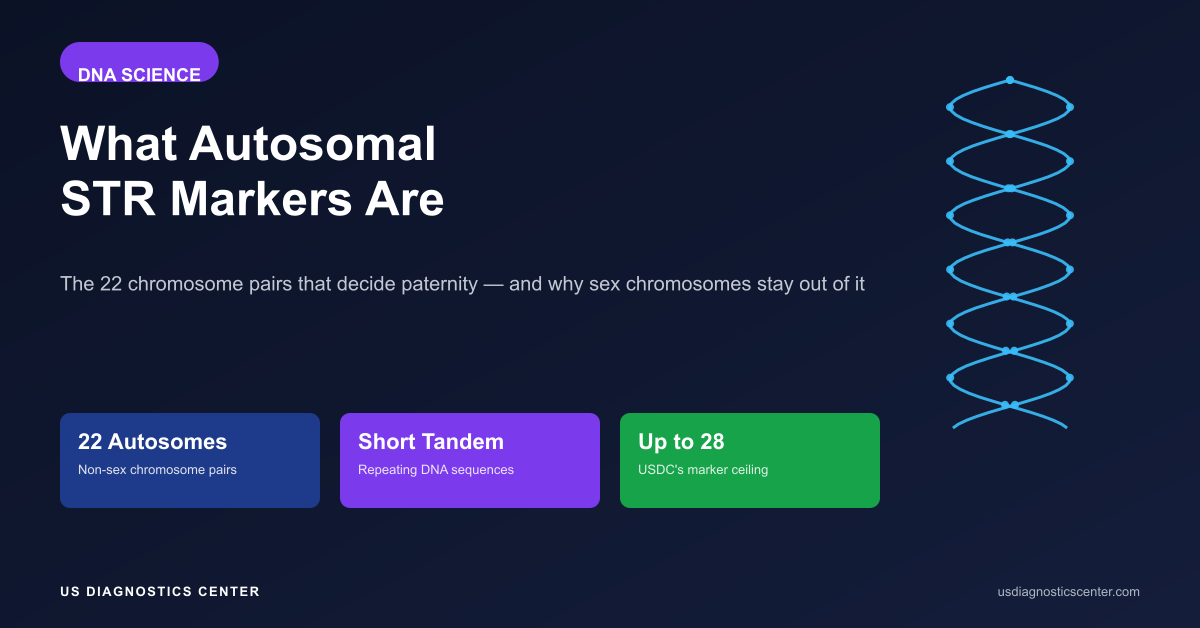 What Autosomal STR Markers Are (And Why Paternity Tests Rely on Them)