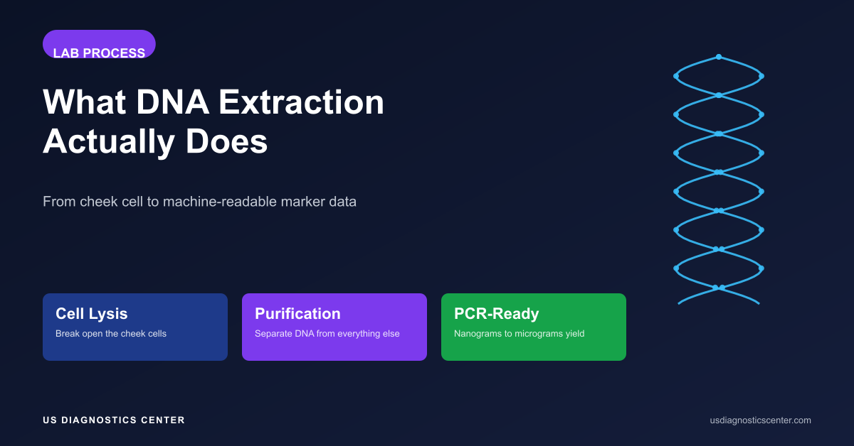 What DNA Extraction Actually Does: From Cheek Cell to Machine-Readable Marker Data