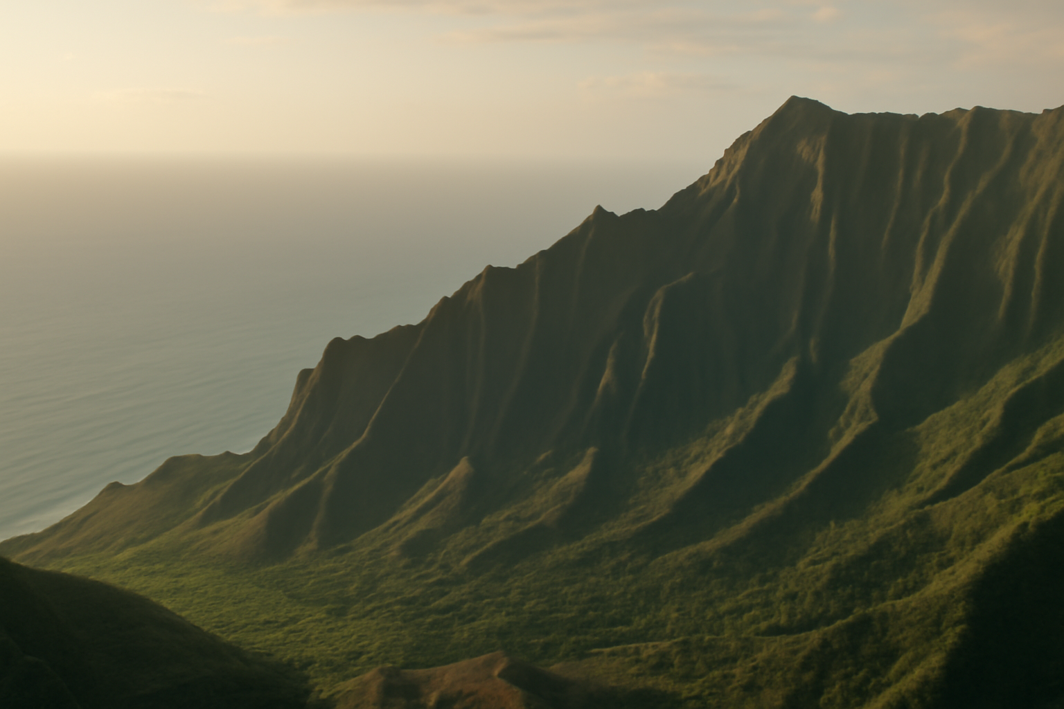 At-Home Paternity Testing in Hawaii: The 500-to-1 Paternity Index and the "Weightier Considerations" Rule